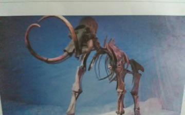 Czy plejstocen to tylko zlodowacenie?  