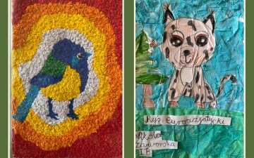 Wyniki konkursu plastycznego dla klas 1-3 „Zwierzęta chronione w Polsce” 