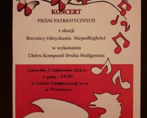 26 koncert