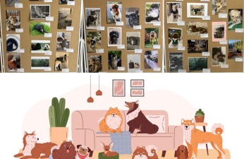 Wyniki konkursu fotograficznego UKOCHANY PUPIL