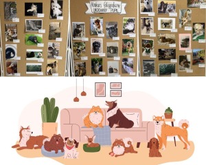 Wyniki konkursu fotograficznego UKOCHANY PUPIL